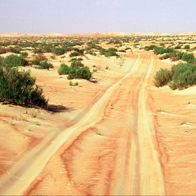 A photograph of a sand track through the desert that is scattered with green bushes.