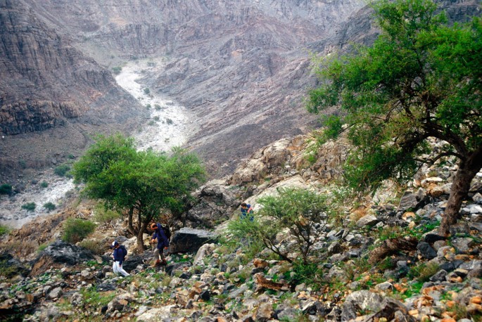 A photograph of a group of people hiking on a rocky trail in a mountainous area. The trail is lined with rocks and trees, and the mountains in the background are covered in greenery. The