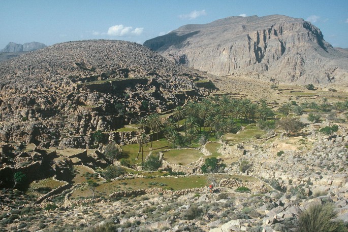 A photograph of a rocky terrain with green patches in the center. There are palm trees in the center. The mountains in the background are covered with rocks.