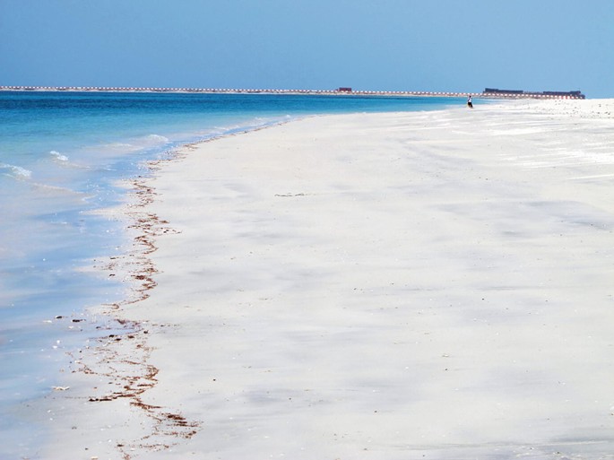 A photograph of a sandy beach with a clear blue ocean in the background. The sky is clear and blue, and there are no clouds in sight. There are no rocks or other obstacles on the beach. The water is shallow and the tide is low, revealing a large expanse of sandy beach.