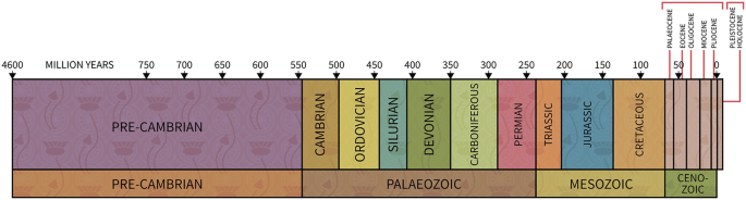A geological timescale which consists of the Precambrian from 550 to 4600 million years ago, Palaeozoic from 250 to 550 million years ago, Mesozoic from 100 to 250 years ago, and Cenozoic from 0 to 50 million years ago.