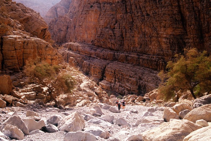 A photograph of a rocky canyon with steep walls and a narrow path running through it. The path is lined with large boulders and there are trees growing on the sides of the canyon.