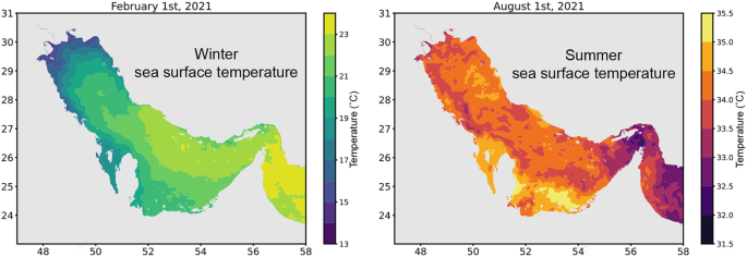 2 heat maps of the Persian Gulf and the Gulf of Oman. 1, Winter sea surface temperature on 1 February 2021. Northern part of the Persian Gulf ranges between 15 and 17 degrees Celsius. 2, summer sea surface temperatures on 1 August 2021. Gulf of Oman ranges between 32.5 and 34.5 degrees Celsius.
