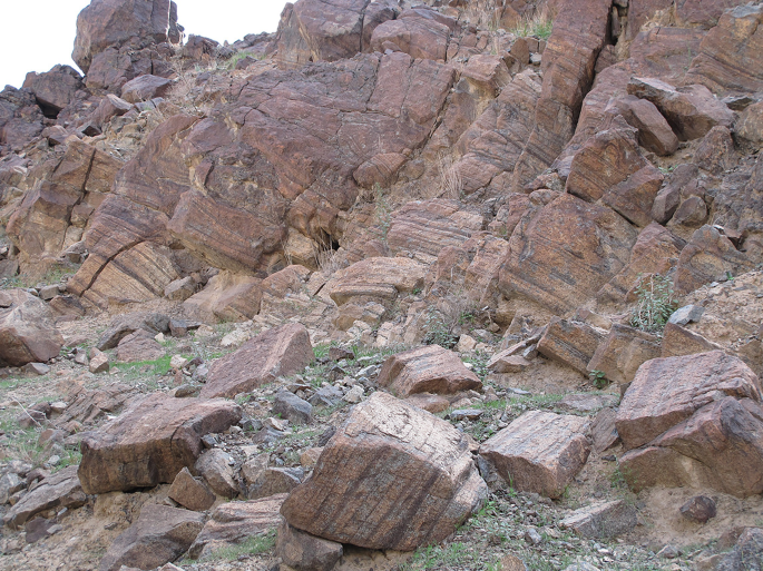 A photograph of the Gabbro bedrock.