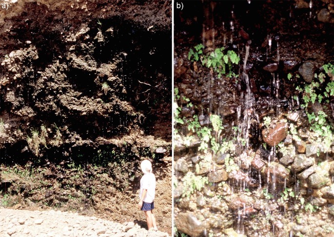 2 photographs. A exhibits a man gazing at a weeping wall, while B offers a close-up of the cascading water from the wall.