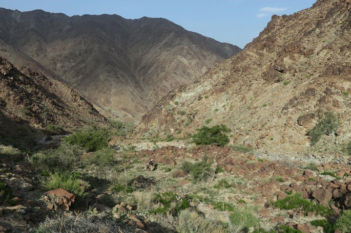 A photograph of a region with arid mountain terrain and populated by desert vegetation.