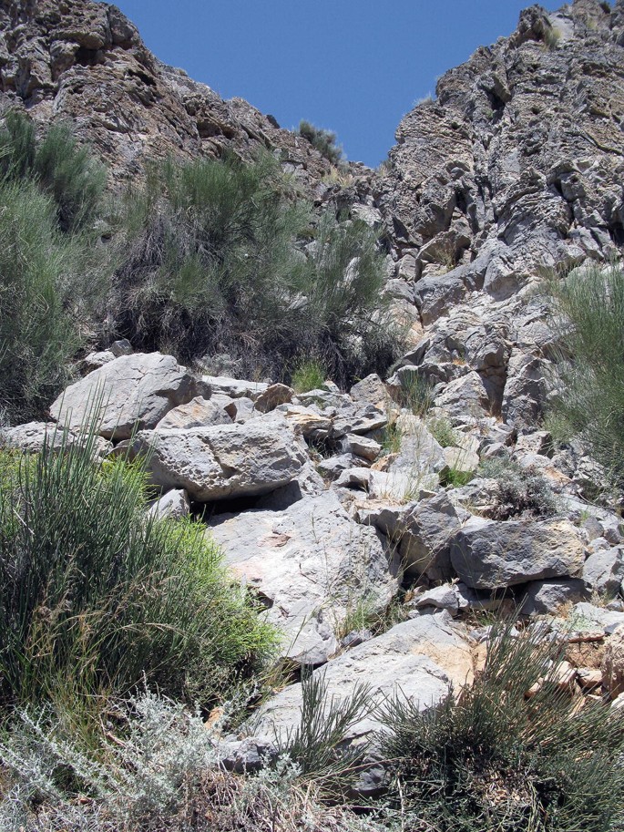 A photograph captured from the base to the summit features rocks with patches of vegetation.