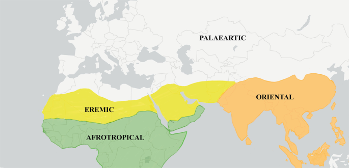 An old world map highlighting the Eremic, Afrotropical, Oriental, and Palaeartic regions.