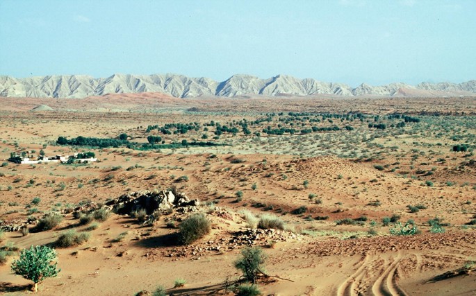 A distant view of an arid landscape featuring scattered shrubbery, while Rocky Mountains are at a distance.