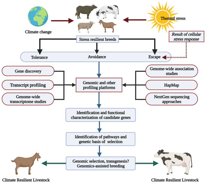 Climate Resilient Livestock Production System in Tropical and Subtropical  Countries | SpringerLink