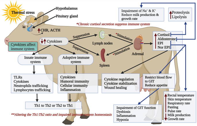 SpringerLink Countries and Tropical in System Production Livestock | Climate Subtropical Resilient