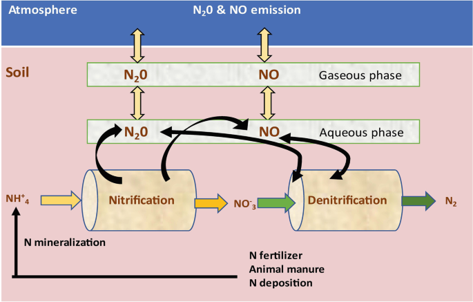 Frontiers  The potential of SiK® fertilization in the resilience