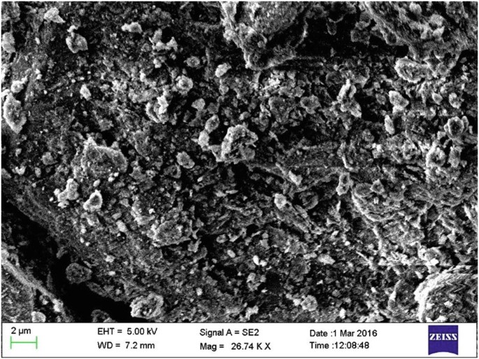 An S E M micrograph of raw soil sample at 26.74 K X. It has circular and rough particles. E H T is equal to 5.00 kilovolt, signal A equal to S E 2, and W D equal to 7.2 millimeters.