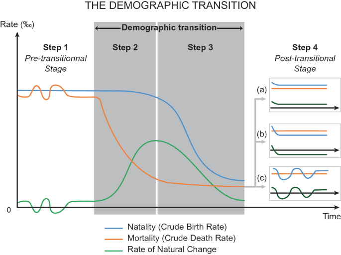 An illustrative graph of demographic transition. It plots rate percent versus time for 3 categories with 4 steps. Natality and mortality have a concave down and concave up decreasing trend, in order. Natural change rate has a peak rising through step 1 and declining through step 2.