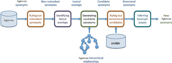 Synonym-Substitution Algorithms for Enriching the Agrovoc