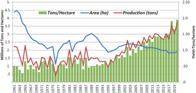 Coffee arabica loses value compared to conillon - SAFRAS & Mercado