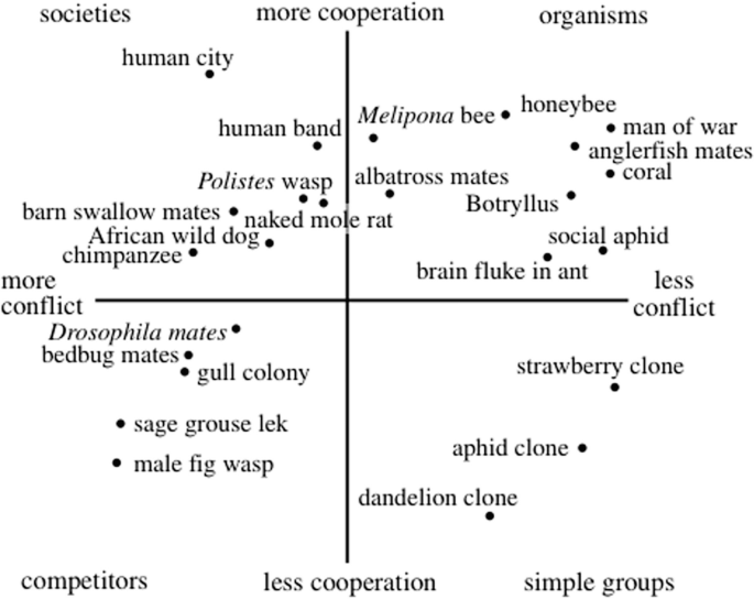 A 4 quadrant scatterplot of conflict versus cooperation. Some of the data points in quadrant 1 are honeybee, social aphid, and coral. Quadrant 2 has a human band, barn swallow mates, and chimpanzees. Quadrant 3 includes gull colony and bedbug mates. Quadrant 4 has aphid and strawberry clones.