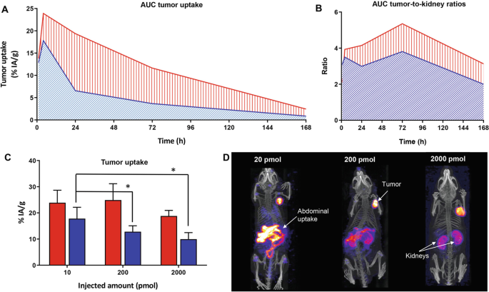 Two trend graphs plot tumor uptake and ratio versus time for A U C tumor uptake and A U C tumor to kidney ratios, and a bar graph plots percent of I A versus injected amount. A three-part image depicts the abdominal uptake with 20 picomoles for abdominal uptake, 200 picomoles for tumor, and 2000 picomoles for kidneys.