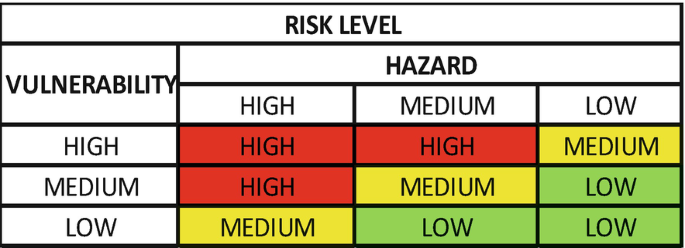 A table titled risk level summarizes the vulnerability and hazard levels based on high, medium, and low.