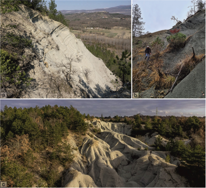 3 photographs. A reveals small to medium-sized landslides. B reveals landslides and a man standing at the center. C represents a full view of landslides.