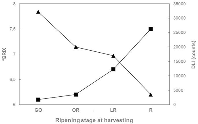 Application Potentiality of Delayed Luminescenc in Medicine