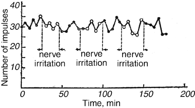 A line graph plots the number of impulses versus time. Nerve irritation (50, 31), (100, 34), (150, 35). All values are estimated.