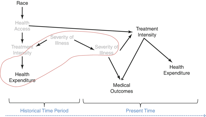 A flow diagram includes race, health access, treatment intensity, health expenditure, illness severity, treatment intensity, medical outcomes, and health expenditure. The health expenditure and illness severity of historical times, and illness severity of present time are outlined as a group.
