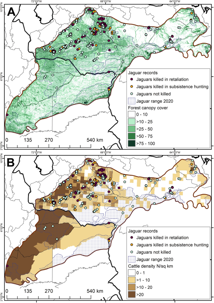 Jaguars (Panthera onca) in the Llanos of Colombia and Venezuela: Estimating  Distribution and Population Size by Combining Different Modeling Approaches  | SpringerLink