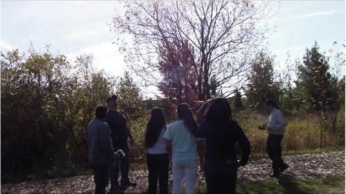 A photograph of Margaret where she points at the top of the tree, and the students look in the direction that she is pointing. Birds are landing on the top of the tree.