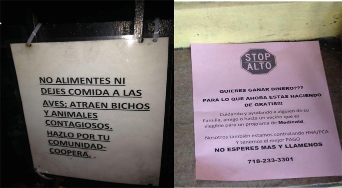 A set of 2 photographs of notices on display. Both have text in a foreign language. The notice on the right has a logo with the text stop Alto.