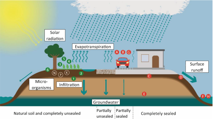 An illustration represents four types of soils underneath the groundwater. On a raised platform above groundwater, trees are grown which helps in evapotranspiration by capturing solar radiation. It also exhibits surface run-off, and infiltration along with a few more components.