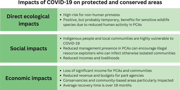 A chart summarizes the COVID-19 impact on P C As in 3 categories. Direct ecological impacts include high-risk for non-human primates, social impacts include reduced management presence resulting in illegal resource exploitation, and economic impacts include income and revenue loss.