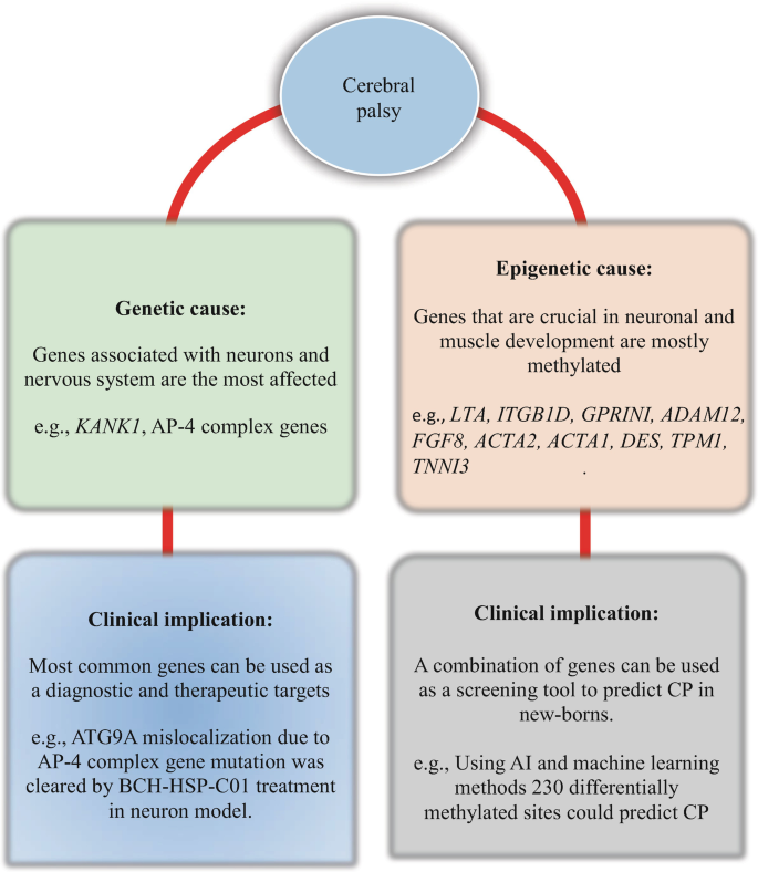 and Mechanisms Underlying Cerebral Palsy From