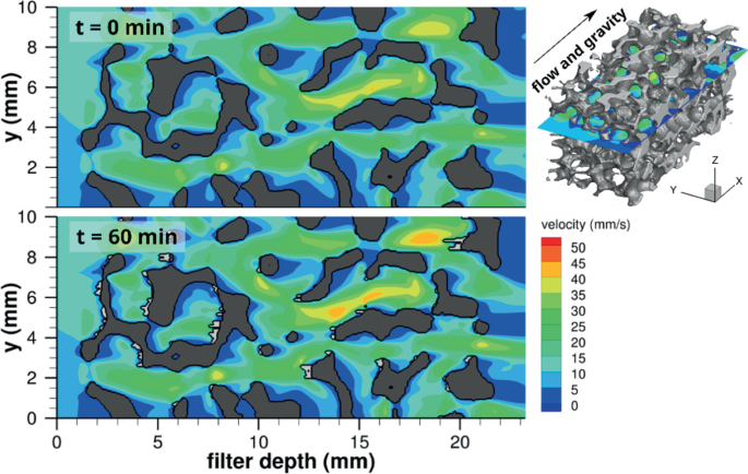 2 cross-sectional simulation views of a foam filter at t = 0 and 60 minutes. At t = 0, A l 2 O 3 particles are inserted randomly on a plane upstream of filter. After 60 minutes, the filtered particles form sediment on the upstream faces of filter struts and protrude into the pores.