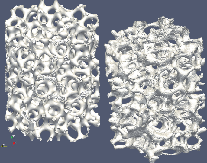A set of 2 3-D structures. The left structure is a generic model with a smooth skeleton and well-defined pores. The right structure is a C T scan, highlighting multiple depressions on the skeleton and irregularly shaped pores.