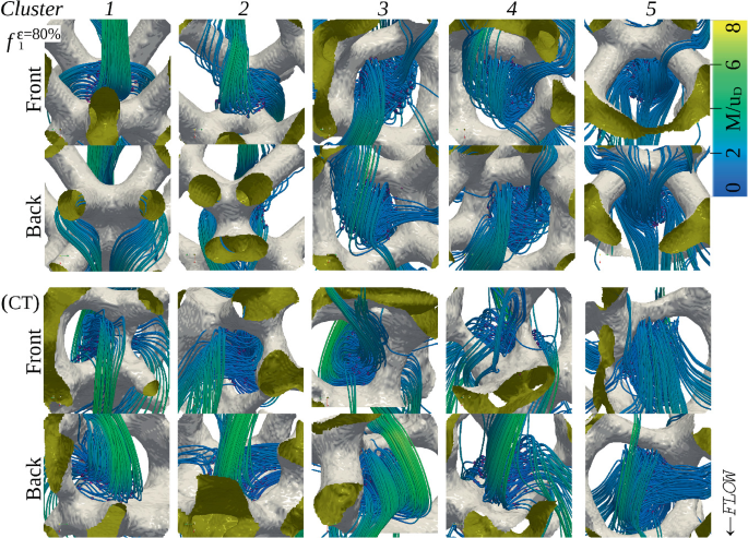Two sets of 5 3-D visualizations of vortices are presented for f equals 80% and CT of front and back. All models include pore and rope-like structures.