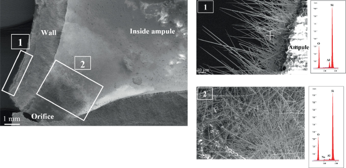 3 illustrations of a microstructure and E D X analyses. The wall, orifice point, and inside ampule regions of the microstructure are highlighted. The 2 zoomed microstructures of wall labeled 1 and orifice labeled 2 illustrate hair like strands.
