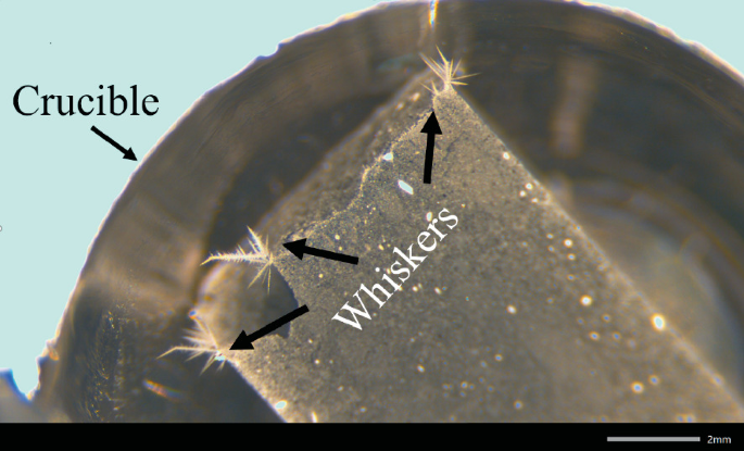 A photograph illustrates a platina crucible and 3 areas of whiskers generated after heating.