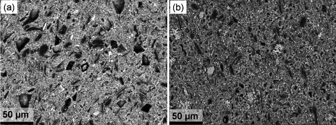 Two scanning electron micrographs of compact specimens. A has large and distinct particles at 800 degrees Celsius, and b has dense, small, and fused particles coked at 1400 degrees Celsius.