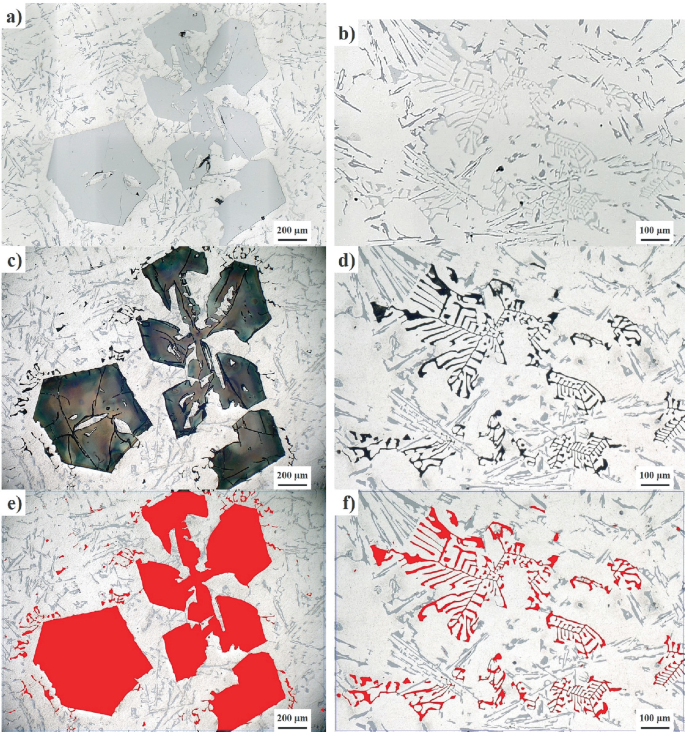 6 micrographs of specimens with different shaded morphologies against light-shaded backgrounds. Micrographs a, c, and e, have solid shapes. Micrographs, b, d, and f have shaded outlines.