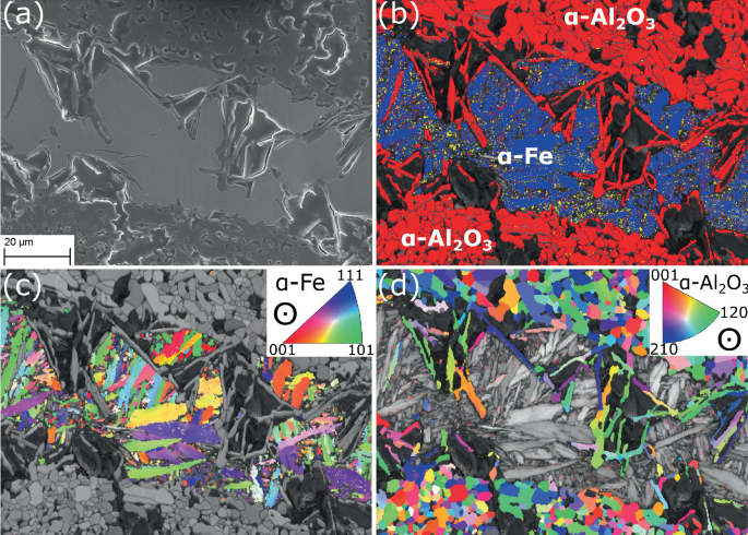 4 micrographs. A. A S E M micrograph highlights interface solidified steel and A L 2 O 3 C. B. A phase map illustrates three layers of alpha A L 2 O 3 and alpha F E. C. An illustration of the orientation of the grains in the form of a micrograph labeled alpha F E. D. An illustration of corundum in the form of a micrograph labeled alpha A L 2 O 3.