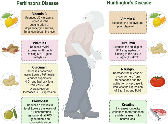 Image result for Ease Parkinson's with Omega 3 infographics