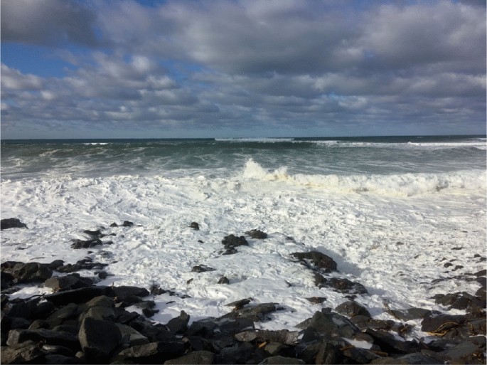 A photo of frothy waves hitting the rocky shore.