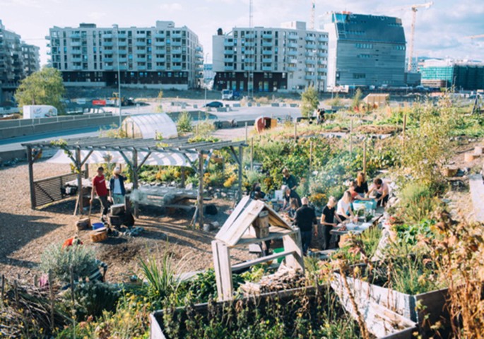 A photo of plants thriving in rectangular boxes placed within an open field, with tall buildings in the background.