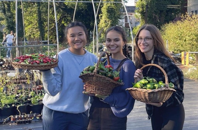 A photograph of students with baskets of peppers.