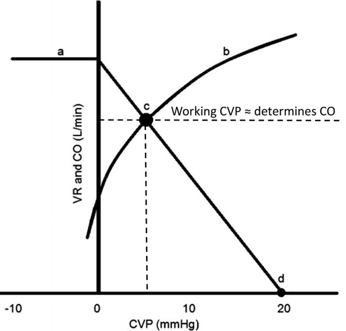 A graphical representation of the V R and C O versus C V P curves. The curve a has a negative slope. The curve A has a positive slope. A and b intersect at c at which working C V P determines C O and equals 5 m m of mercury.