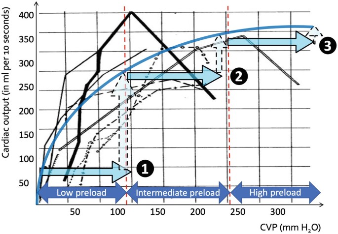 A line graph plots cardiac output versus C V P curves. Along the horizontal axis, left to right, the graph is divided by dashed vertical lines into segments of low, intermediate, and high preload. The curves present a sharp enhancement in C O from 1 to 2.