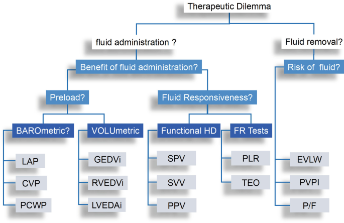 A schematic of the therapeutic dilemma. It has 2 branches, fluid administration and fluid removal. The benefits of fluid administration may lead to preload and fluid responsiveness. The fluid removal leads to the risk of fluid loss.