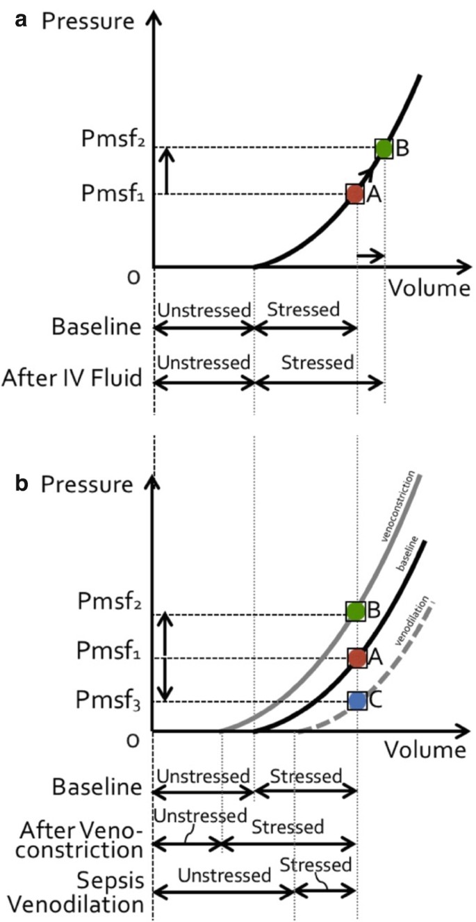 A schematic illustrates the effect of fluid loading as 2 graphs between pressure and volume. Graph A plots 1 ascending curve. Point A on curve corresponds to P m s f 2 and B corresponds to P m s f 1. Graph b plots 3 ascending curves. The baseline curve lies between venoconstriction and venodilation.