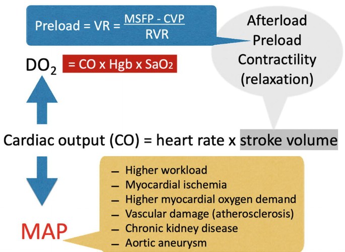 A schematic comprises a bubble labeled afterload, preload, contractility, and relaxation. The formulae for D O 2 and preload are mentioned. M A P is affected by higher workload, myocardial ischemia, higher myocardial O D, vascular damage, chronic kidney disease, and aortic aneurysm.